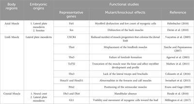 Novel insights from human induced pluripotent stem cells on origins and roles of fibro/adipogenic progenitors as heterotopic ossification precursors